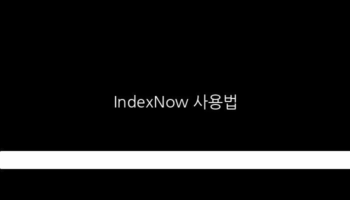 IndexNow 사용법